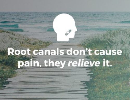 Some Facts About Root Canals